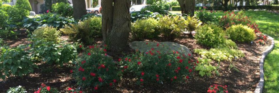 Professional Landscapes